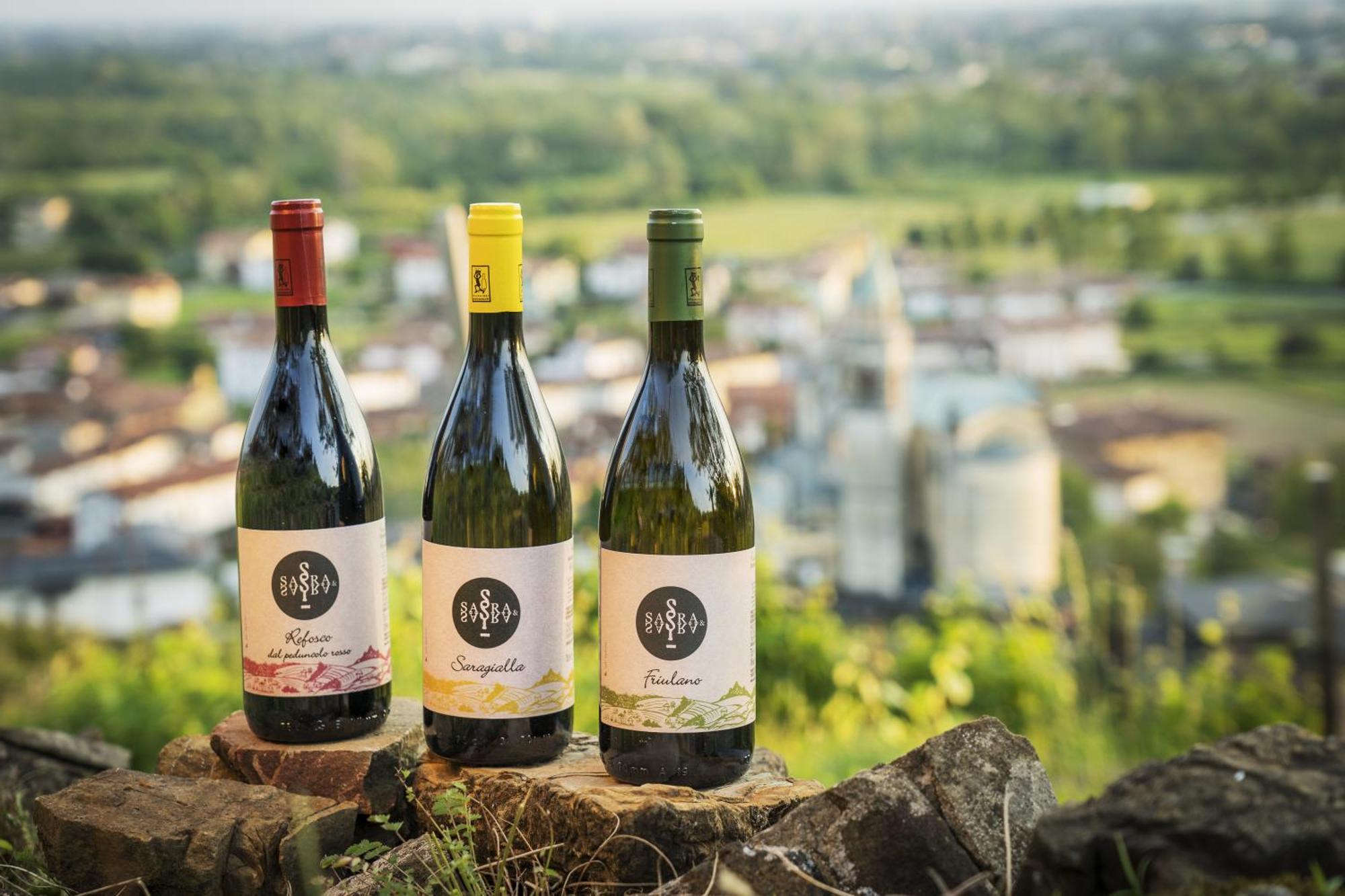 Sara&Sara Alloggio Agrituristico Savorgnano Εξωτερικό φωτογραφία
